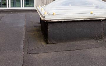 disadvantages of Webscott flat roofs