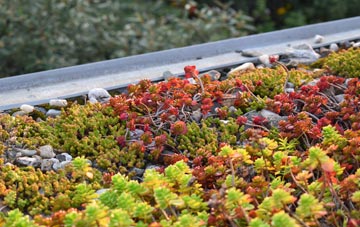 the cost of Webscott green roof installation