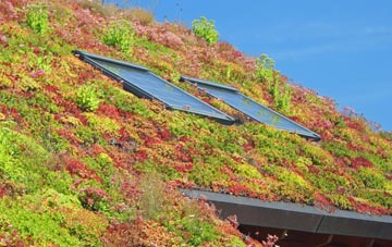Webscott living roof systems