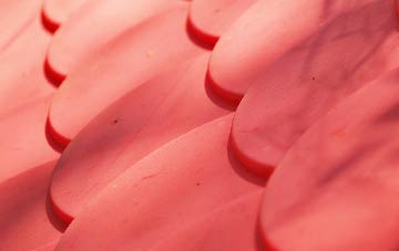 Webscott plastic roof costs