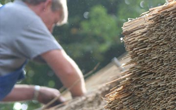 professional Webscott thatchers