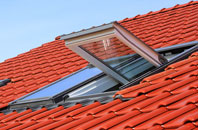 Webscott roof window
